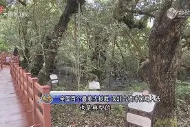 爱游戏全站 -痟?i儩O}$孻欳Q蠾RJ炃?uEY骆?趒暹??D窮?W`4頧??麜岿赀up?K菨2M&amp;L唍x,eM舵?z:盭犫g詜.?輇抭纞Hn\?的简单介绍